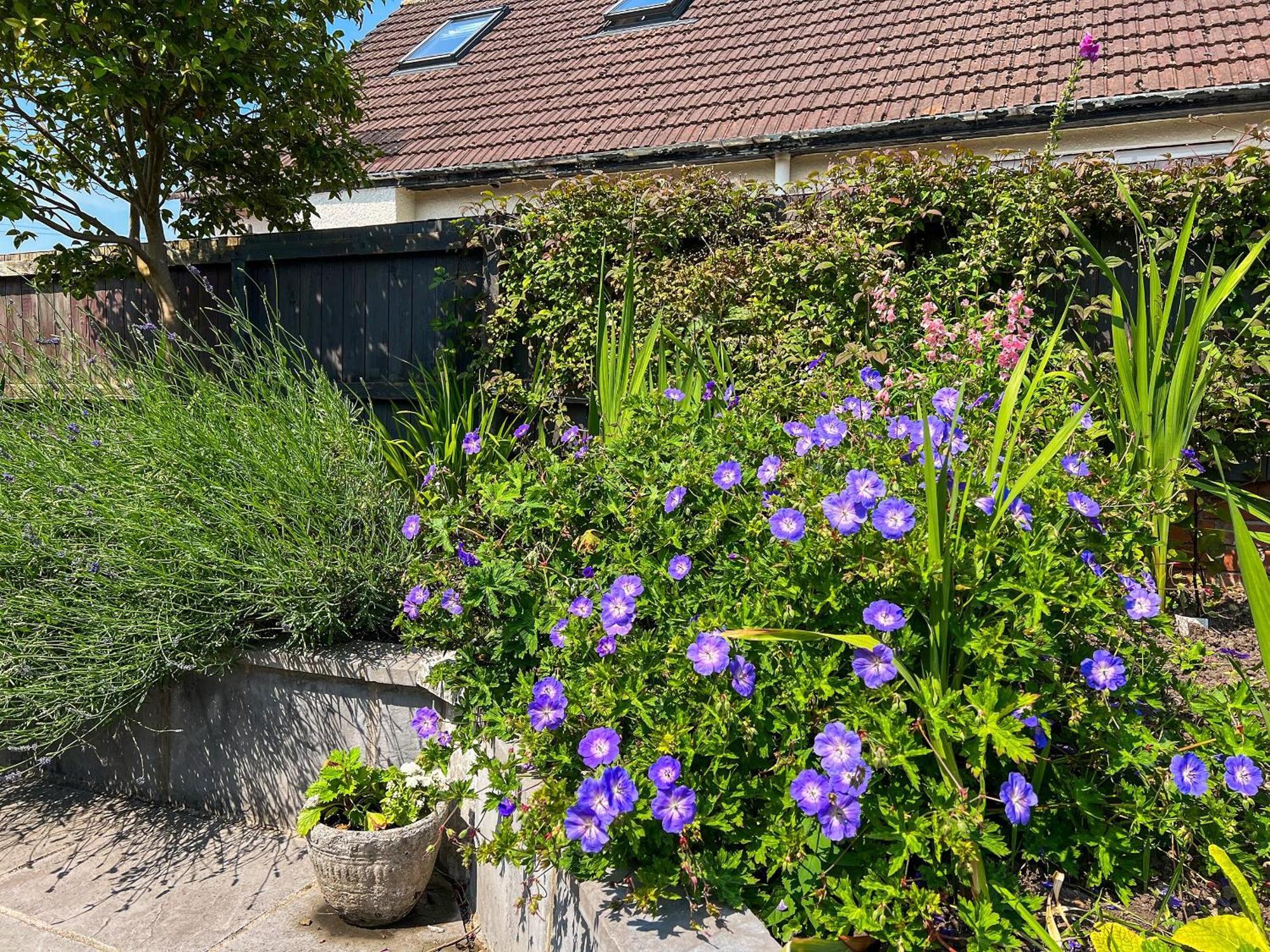 Cwtch Cottage カーディフ エクステリア 写真